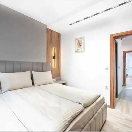 сенатор Self Check-in